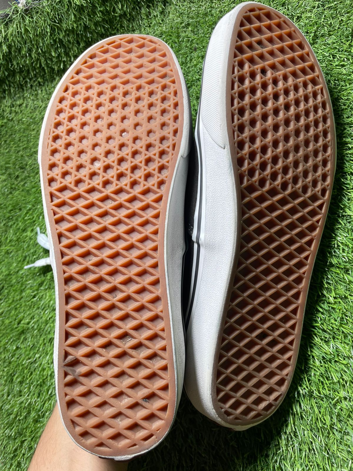 Vans Low Top( 44 - 10 )