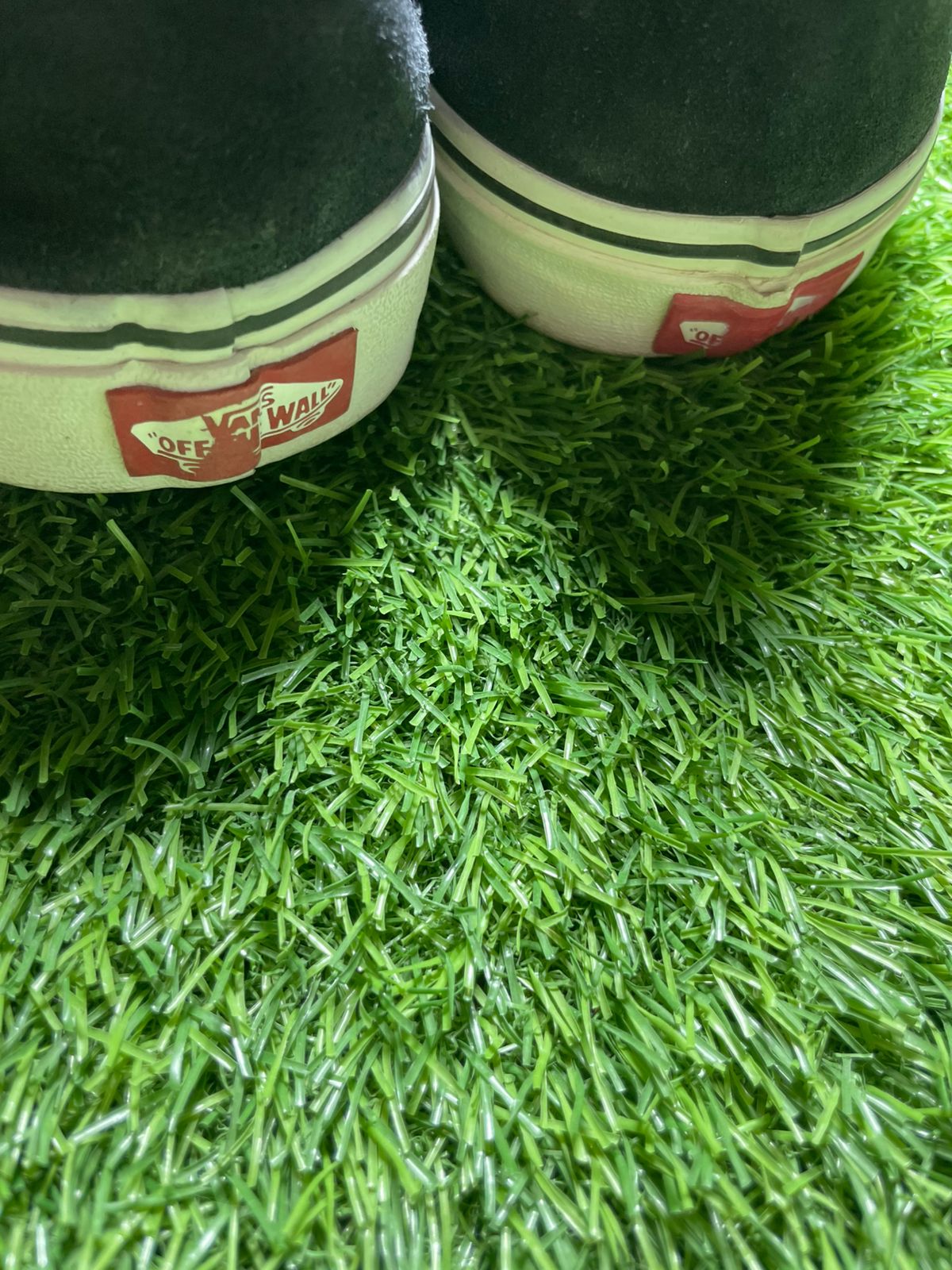 Vans Low Top ( Size 44.5-45 / 10.5-11 )