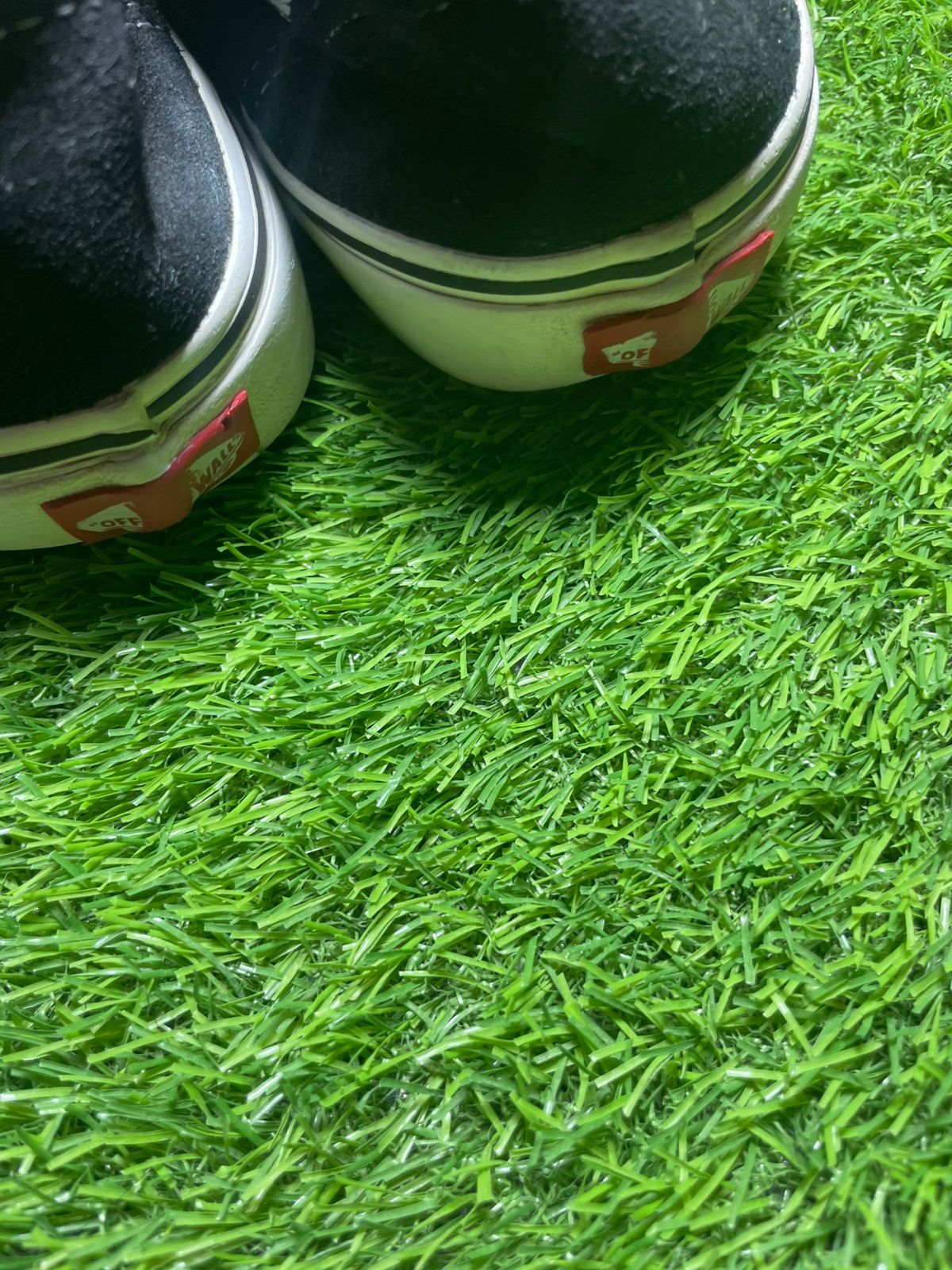 Vans Low Top (46)