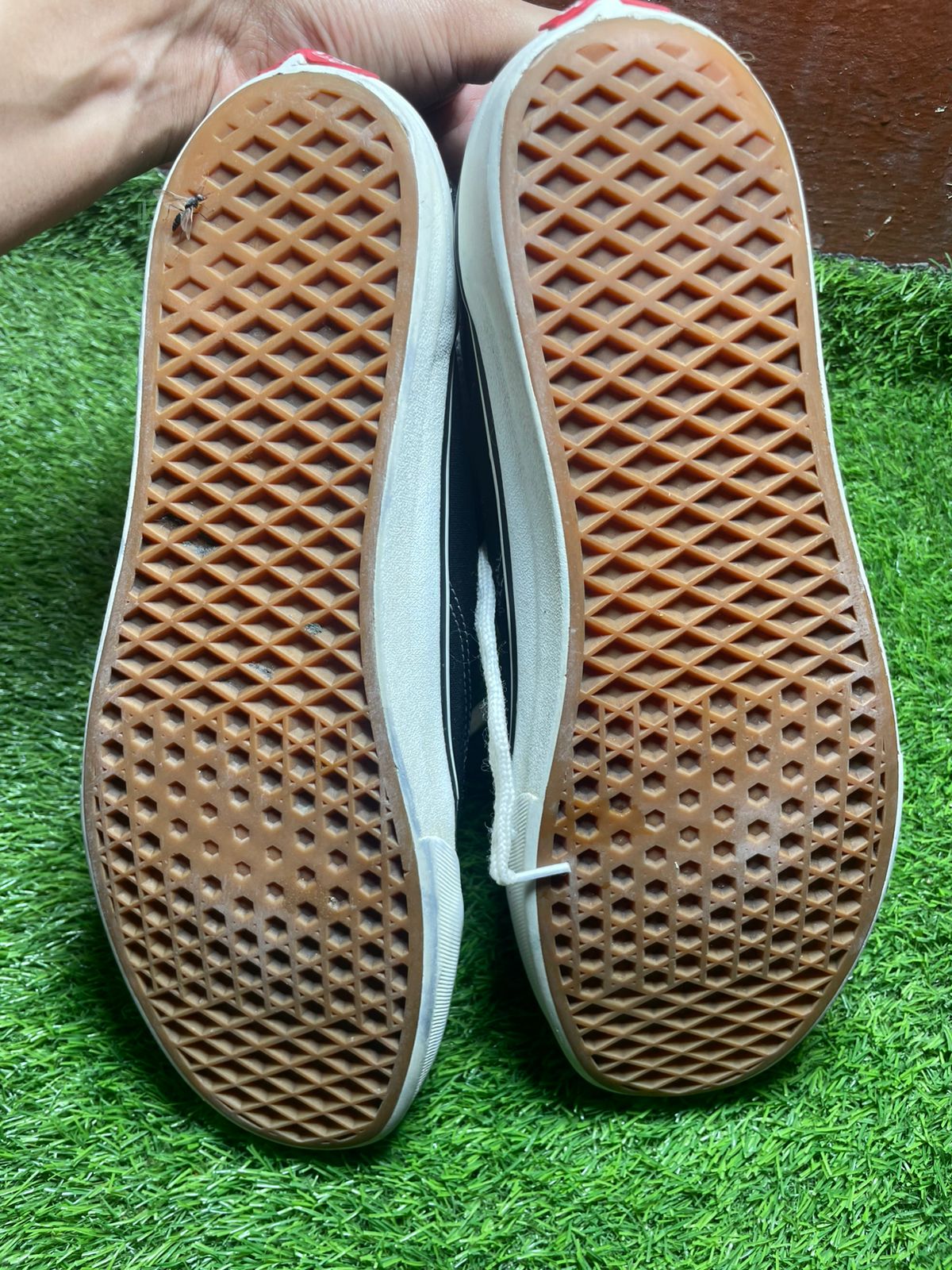 Vans Low Top (46)