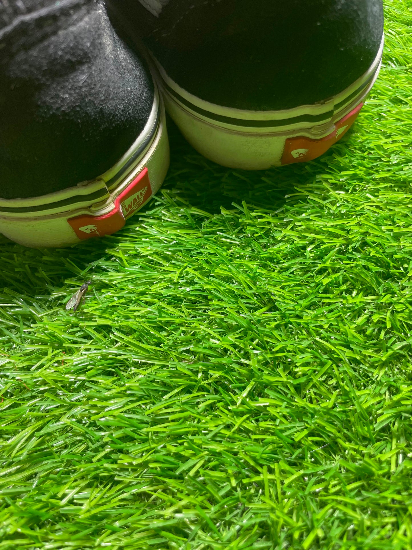 Black Vans Low Top (42.5 / 8.5 )