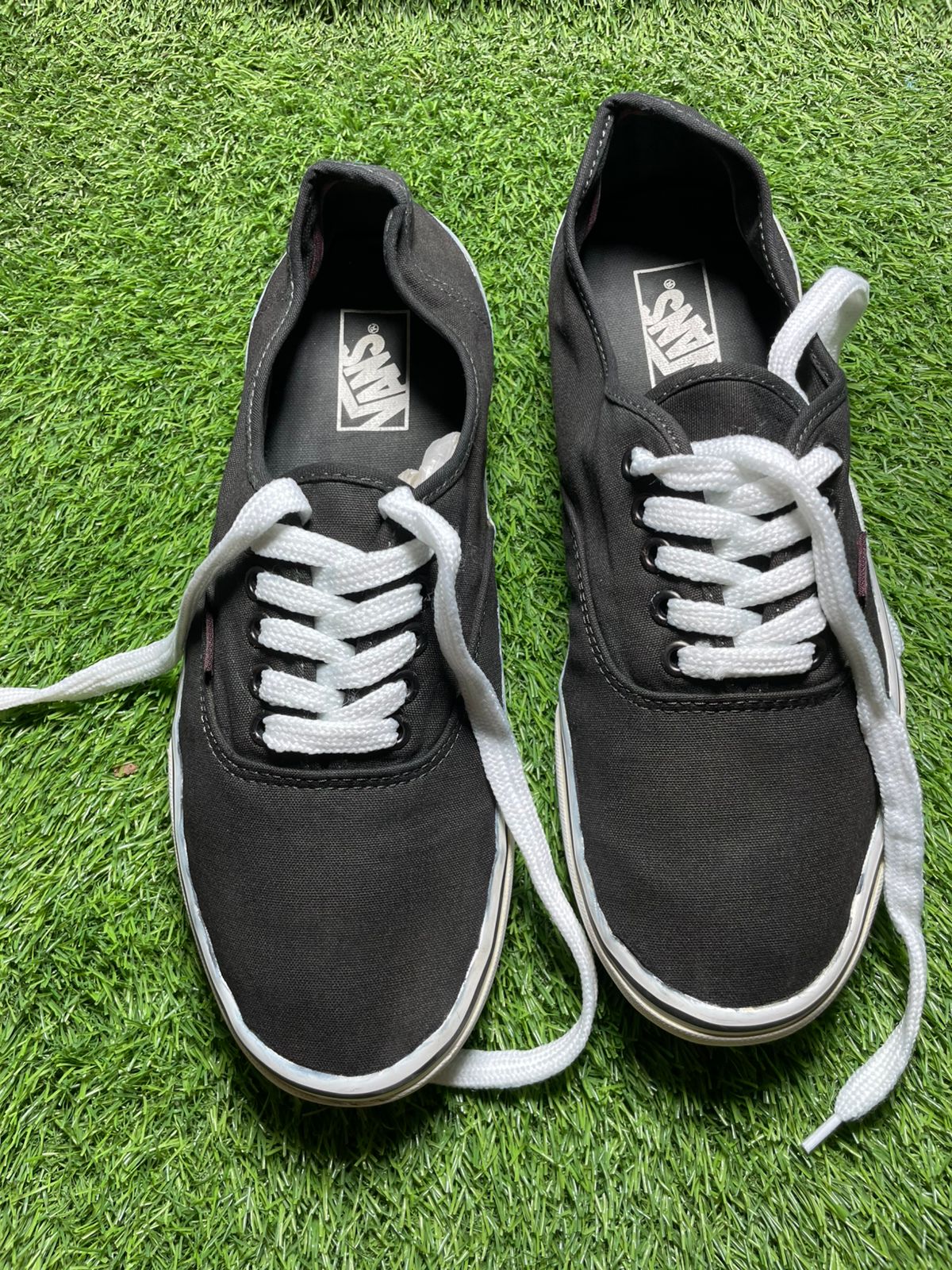 Vans Low Top ( 45 - 11 )