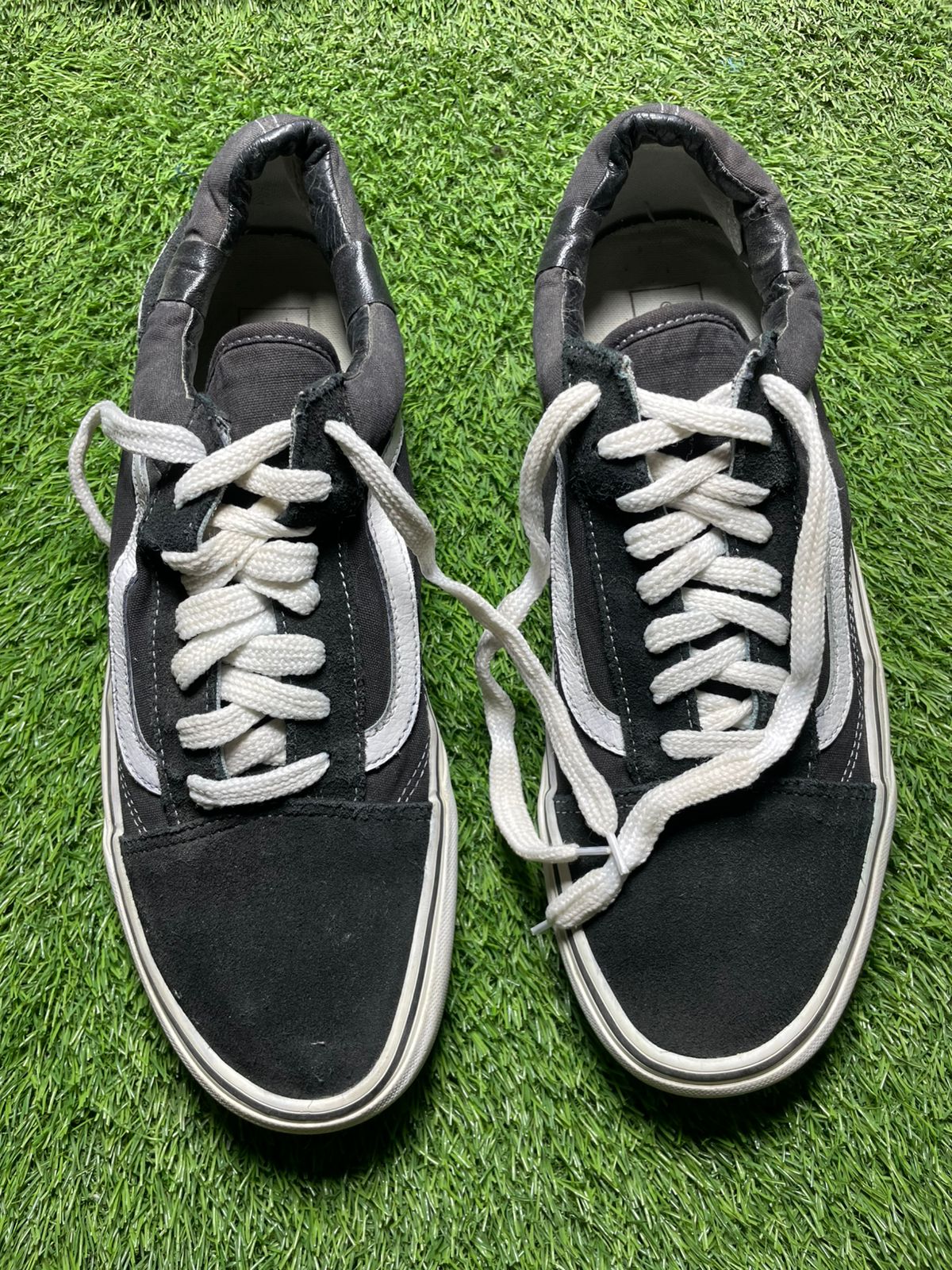 Vans Low Top ( 45 - 11 )