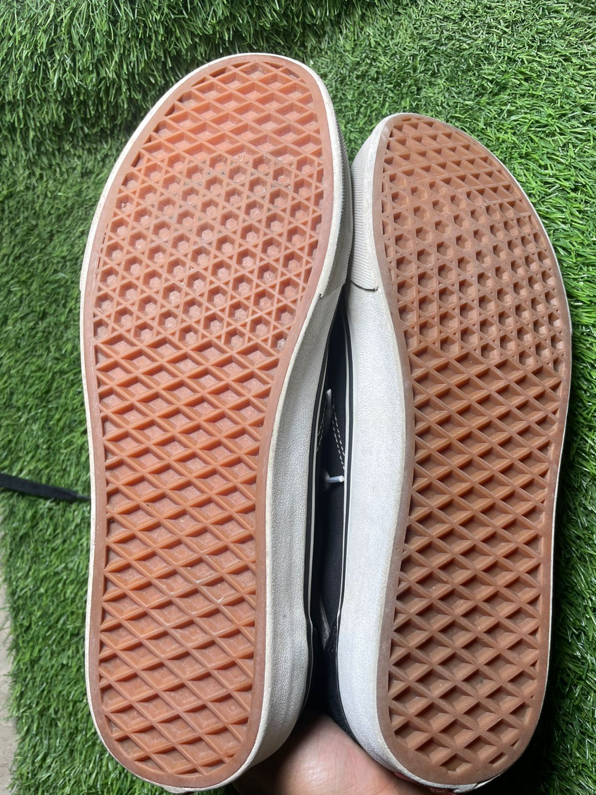 Vans Low Top ( 44 / 10 )