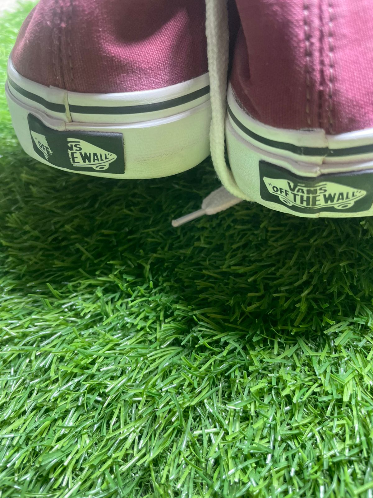 Vans Low Top (45)