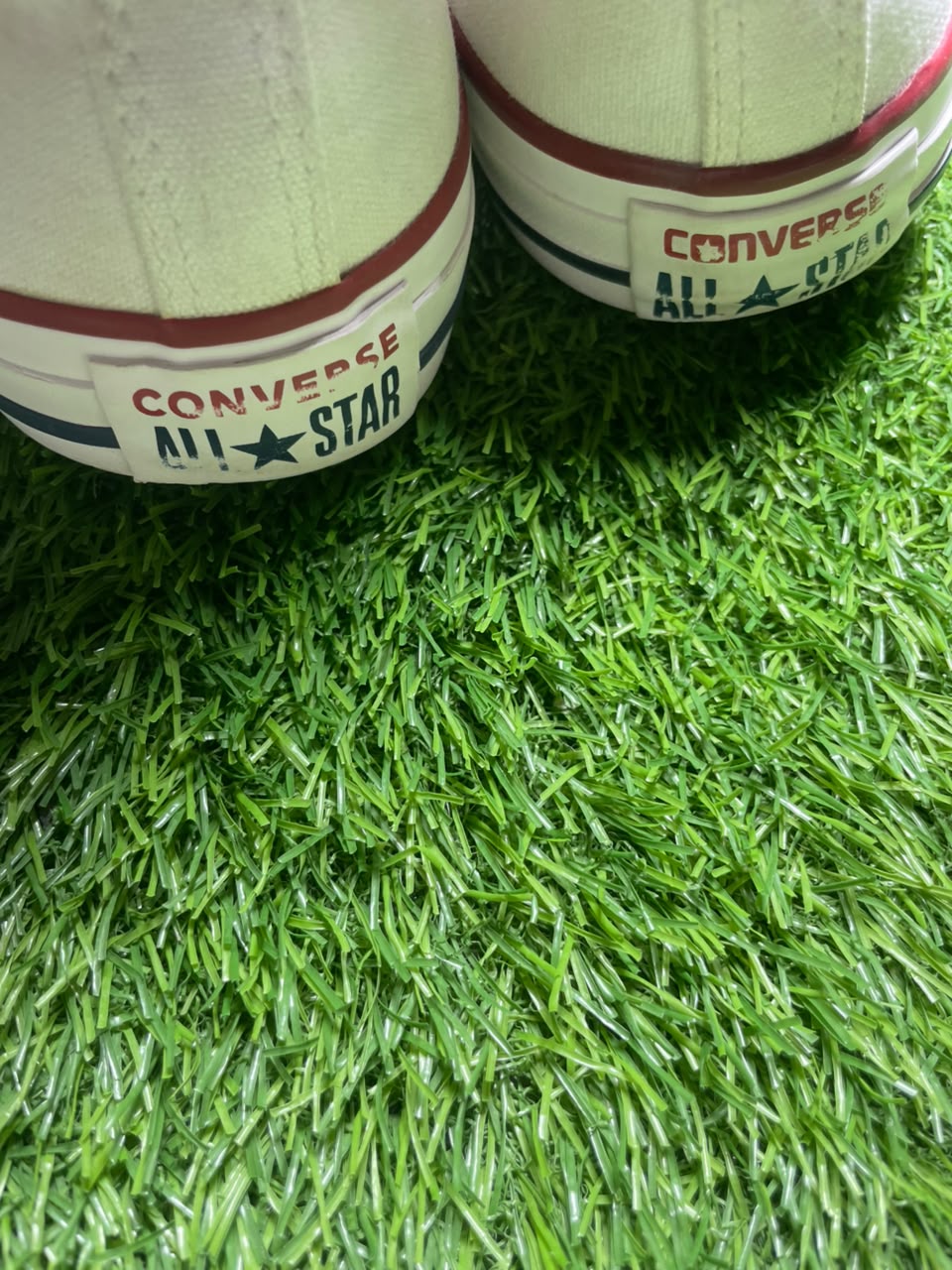 Converse Low Top (42 / 8.5 )