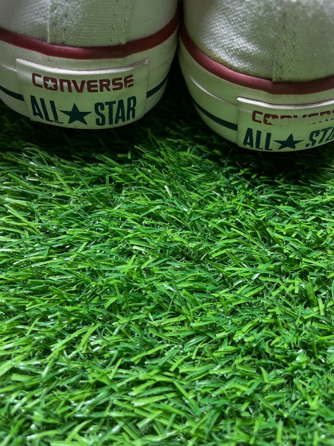 White Converse Low Top(39 / 8)