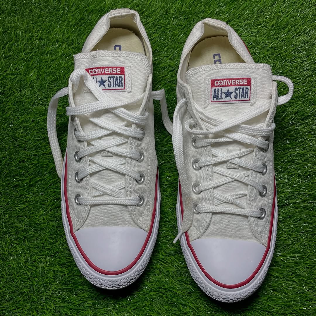 Converse Low Top (41.5)