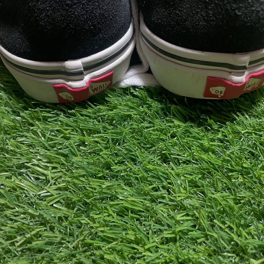 Black & White Vans Low Top(Size 38 / 7)