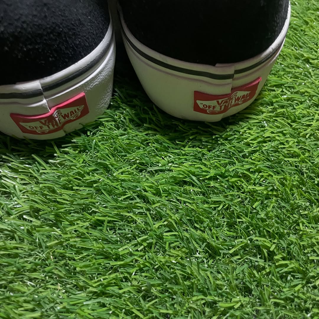 White Vans Low Top (39 / 8)