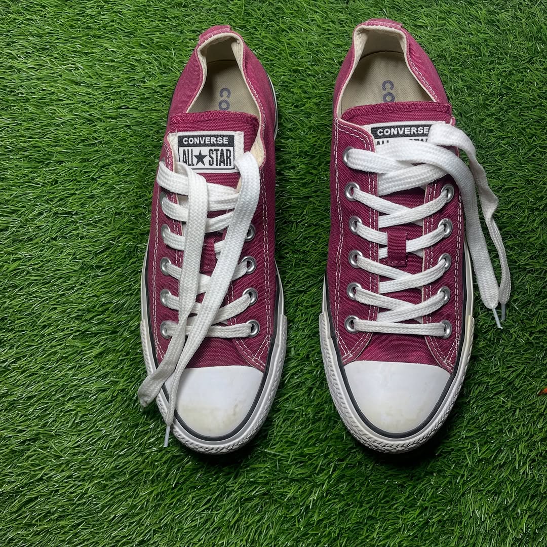 Pink Converse Low Top(39 / 8)