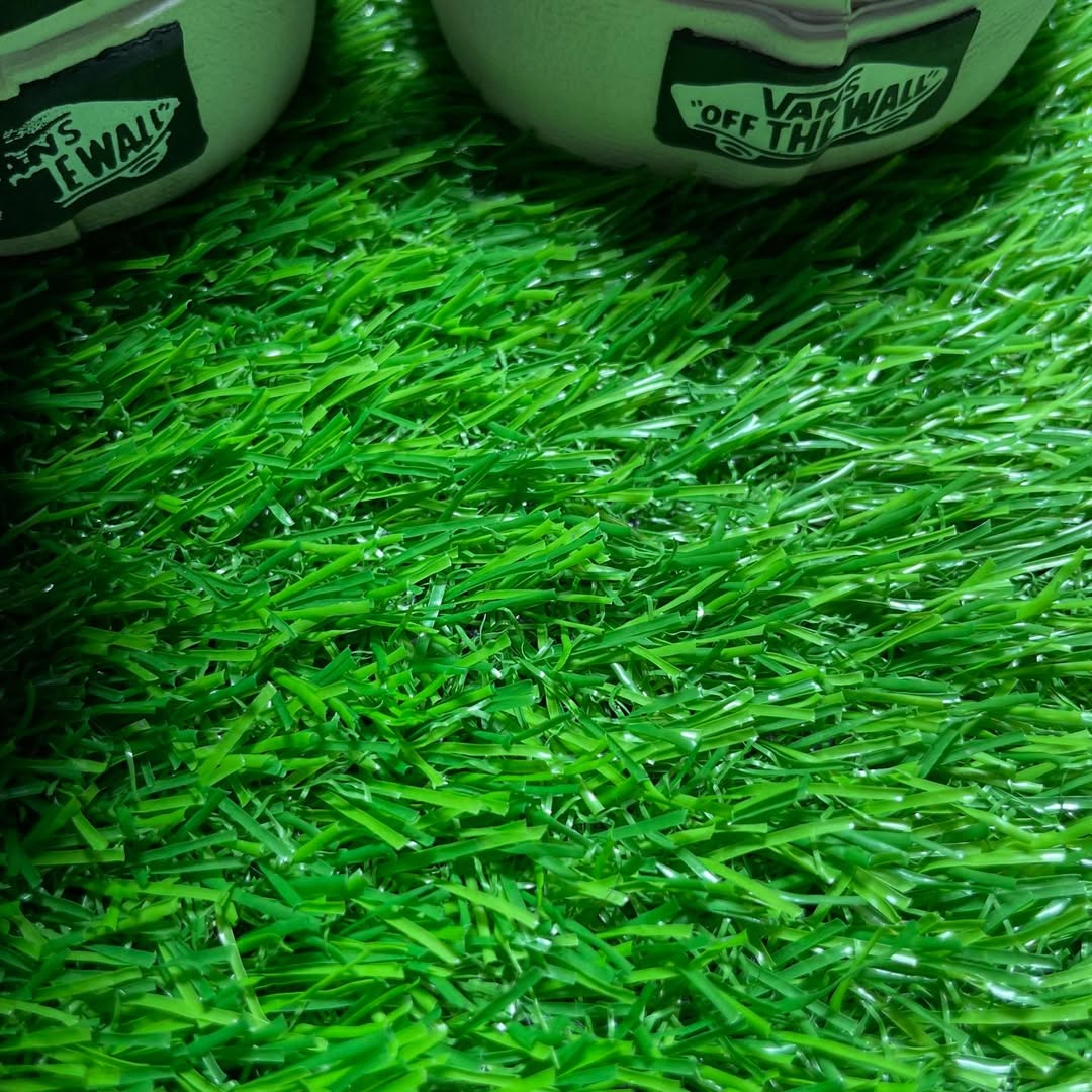 Red Vans Low Top(Size 40 / 8.5)