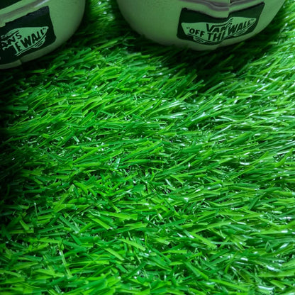 Red Vans Low Top(Size 40 / 8.5)