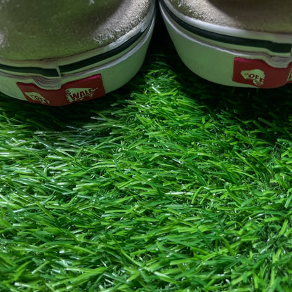 Beige Vans Low Top (43 / 11)
