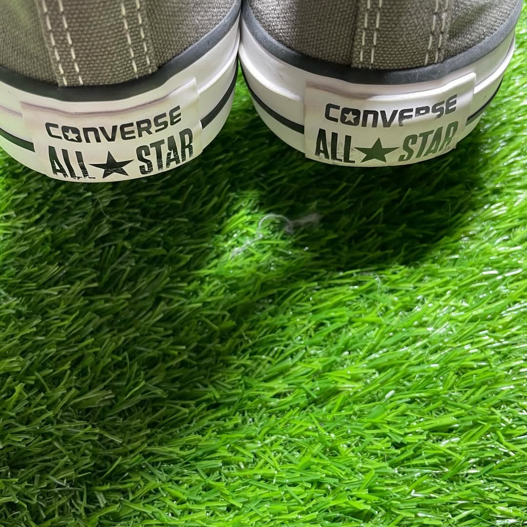 Converse Low Top(39.5)