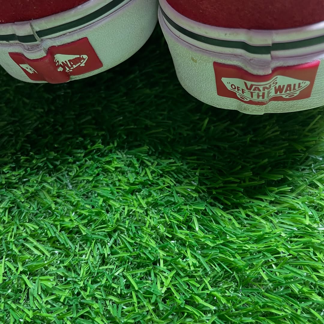 Red Vans Low Top (42.5 / 10.5)