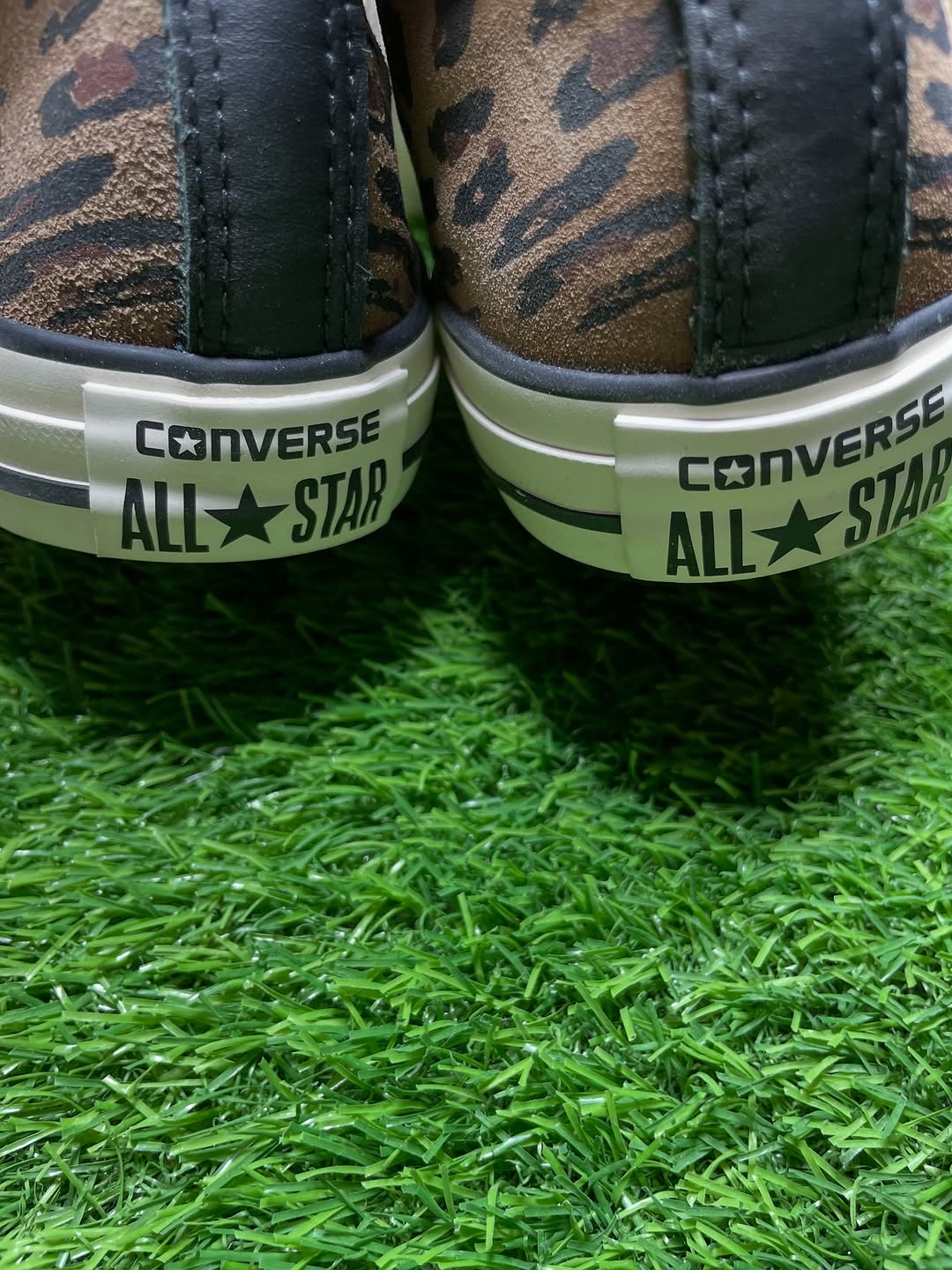 Cheetah Converse High Top (39 / 8)